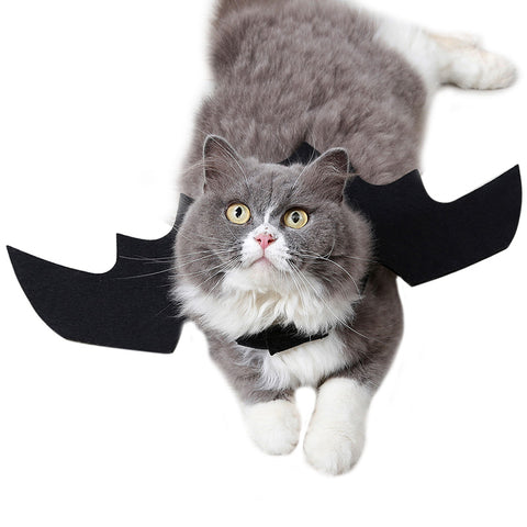 Cats Cosplay Costume Halloween