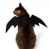 Cats Cosplay Costume Halloween