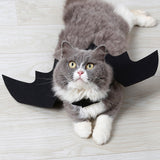 Cats Cosplay Costume Halloween